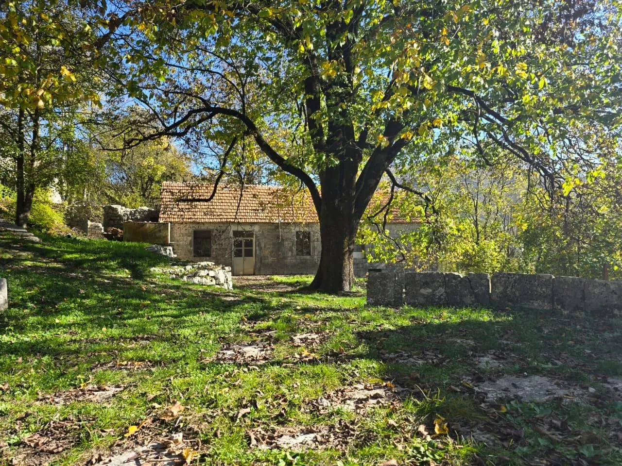 Prodaja, plac, 6000m², Njeguši, Cetinje