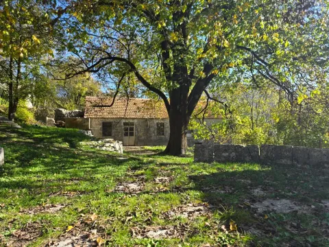 Prodaja, plac, 6000m², Njeguši, Cetinje - image 6