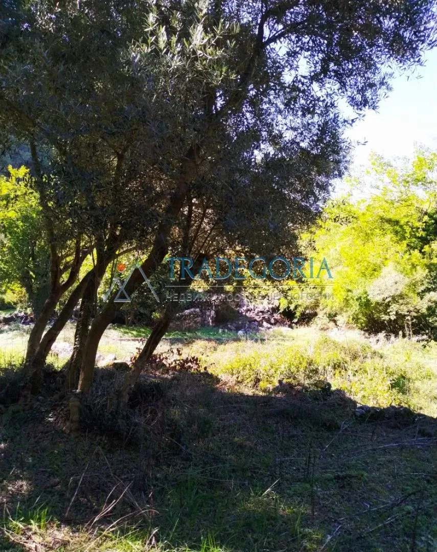 Prodaja, kuća, 210m², Podgorica, Crna Gora