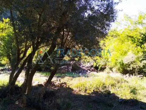 Prodaja, kuća, 210m², Podgorica, Crna Gora - image 10