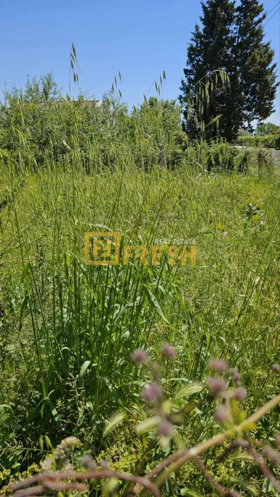 Prodaja, plac, 300m², Ulcinj, Crna Gora