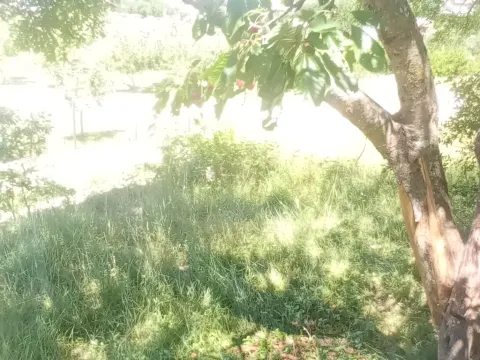Prodaja, plac, 1500m², Ozrinići, Nikšić - image 15