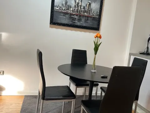 Izdavanje, jednosoban stan, 60m², Stari Aerodrom, Podgorica - image 6