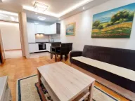 Izdavanje, jednosoban stan, 45m², Preko Morače, Podgorica - image 4