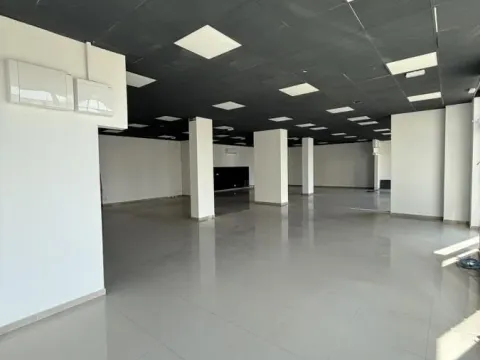 Rent, office space, 310m², Jugovićevo, Novi Sad Sve Podlokacije - image 5