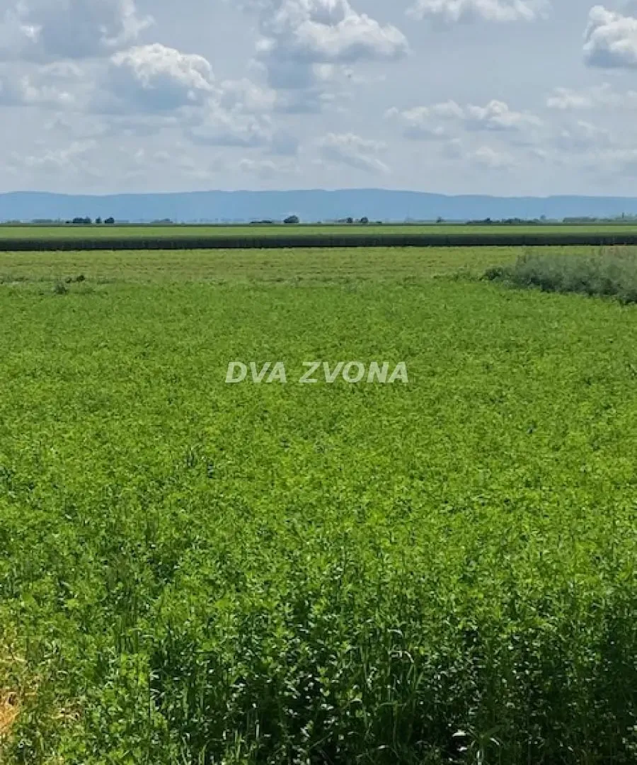 Prodaja, kuća, 37m², Čenej, Novi Sad Sve Podlokacije