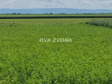 Sale, house, 37m², Čenej, Novi Sad Sve Podlokacije - image 21