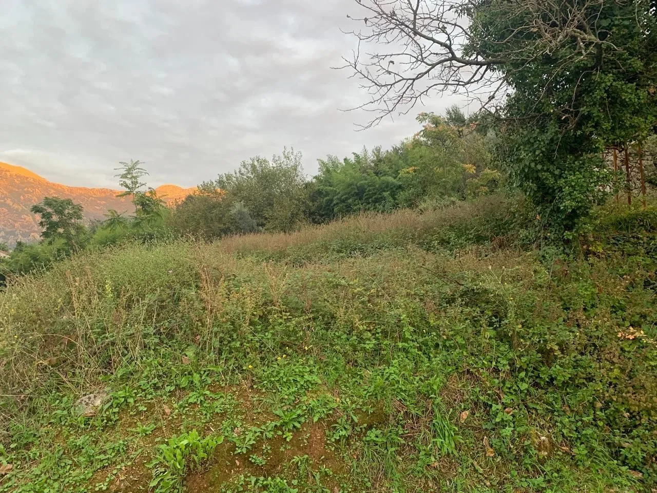 Prodaja, plac, 2313m², Stoliv, Kotor