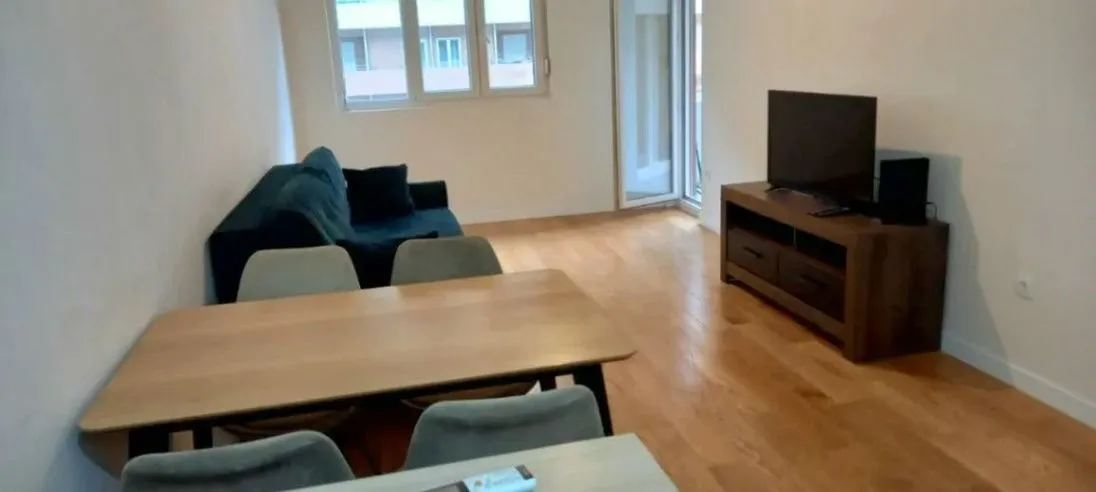 Izdavanje, jednosoban stan, 47m², Central Point, Podgorica