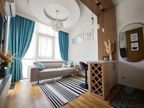 Rent, studio apartment, 24m², Zabjelo, Podgorica - image 2