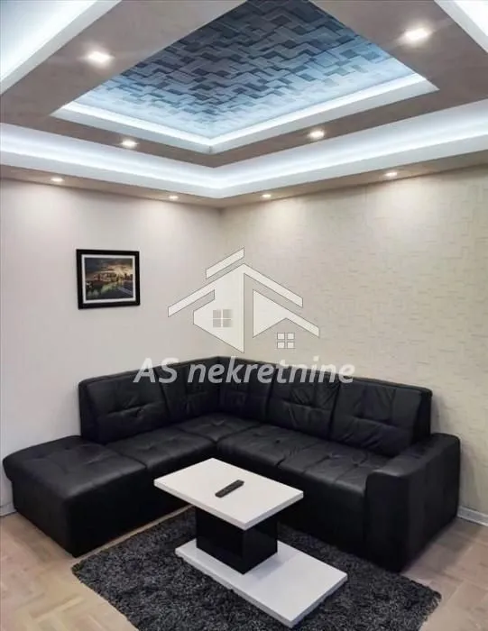 Rent, two bedroom apartment, 42m², Vračar Sve Podlokacije, Beograd