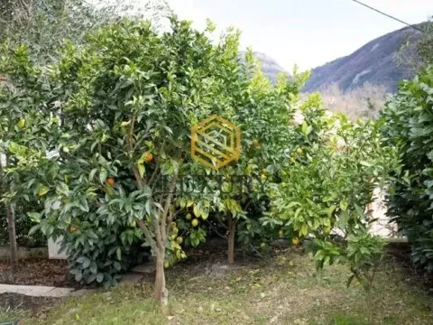 Izdavanje, kuća, 111m², Lastva Grbaljska, Kotor - image 2