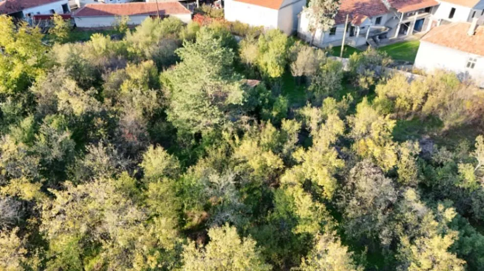 Prodaja, kuća, 200m², Leskovac, Srbija