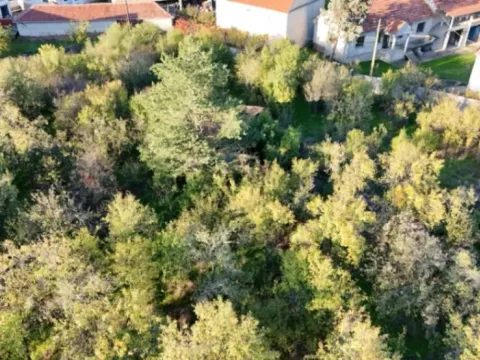 Sale, house, 200m², Leskovac, Srbija - image 7