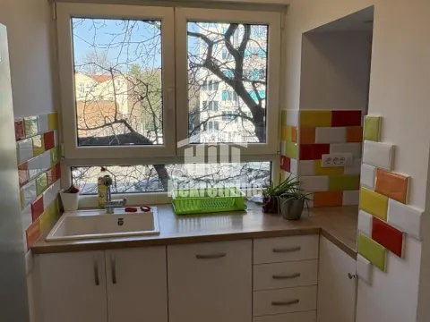 Izdavanje, dvosoban stan, 59m², Botanička Bašta, Palilula Sve Podlokacije - image 7