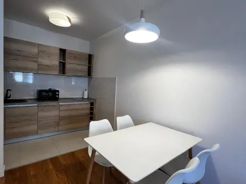Rent, one bedroom apartment, 46m², Central Point, Podgorica - image 3