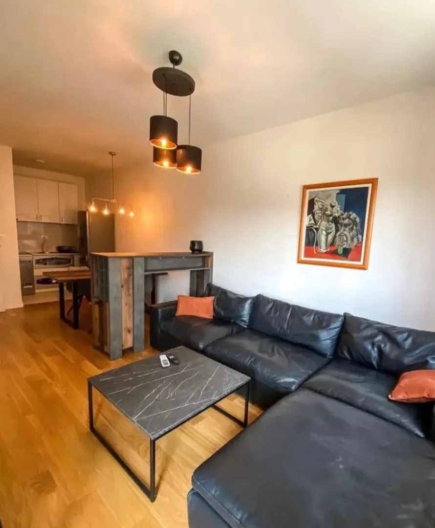 Izdavanje, jednosoban stan, 47m², Central Point, Podgorica