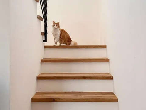 Sale, house, 130m², Kavač, Kotor - image 10