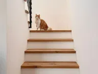 Prodaja, kuća, 130m², Kavač, Kotor - image 10