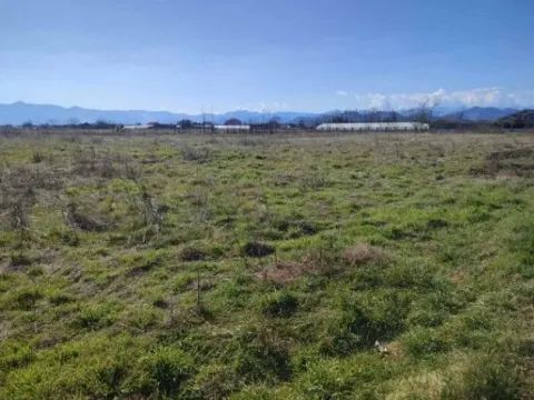 Prodaja, plac, 11000m², Mataguži, Podgorica - image 2