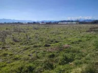 Prodaja, plac, 11000m², Mataguži, Podgorica - image 2