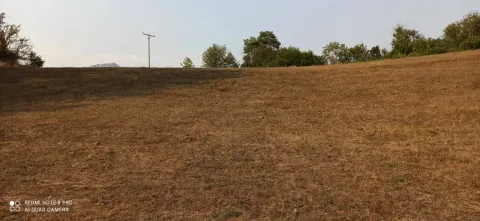 Prostran i ravan plac sa suvom travom okružen drvećem. - image 12