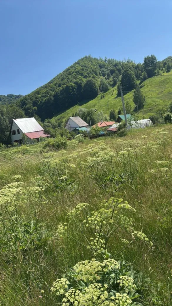 Prodaja, plac, 800m², Veruša, Podgorica