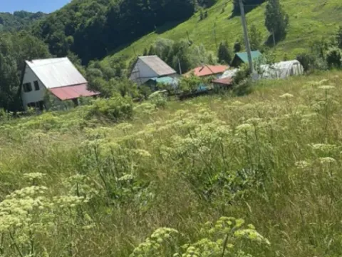 Prodaja, plac, 800m², Veruša, Podgorica - image 5