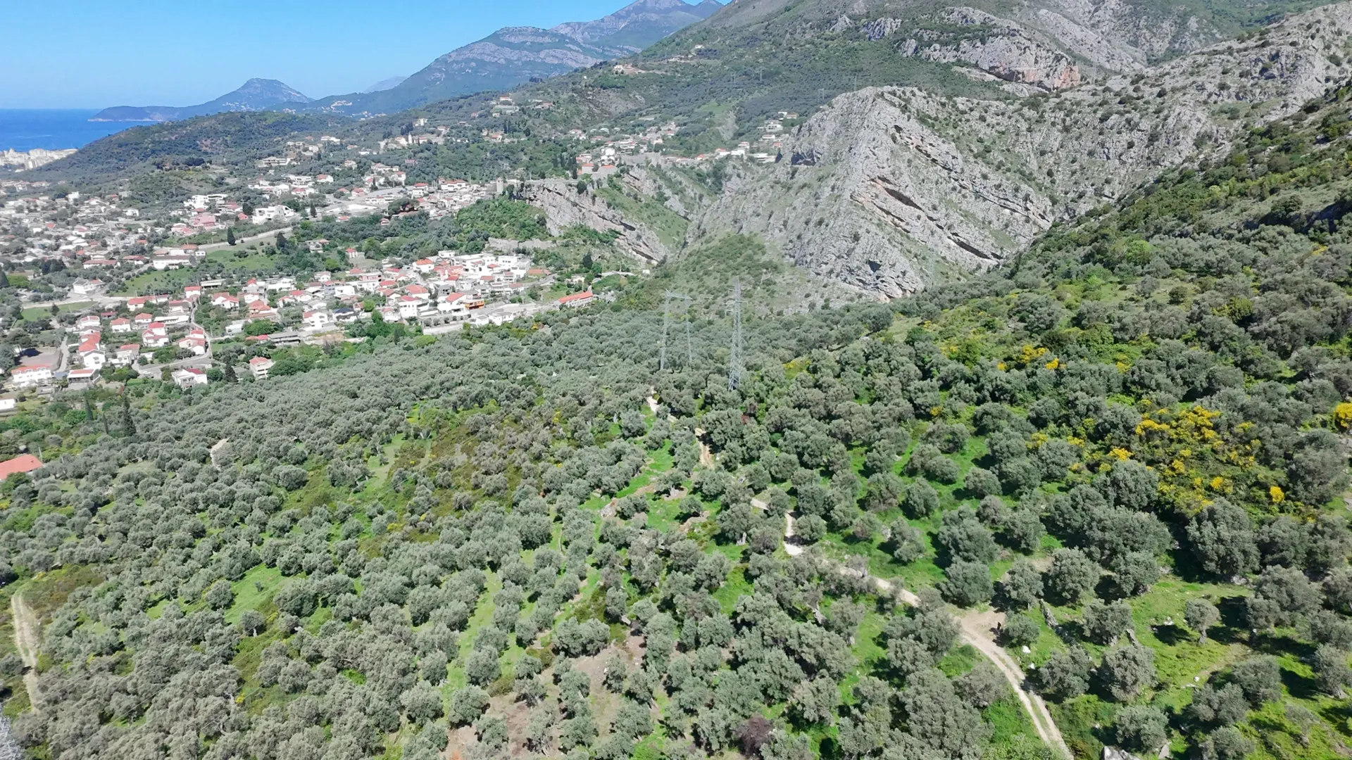 Prodaja, plac, 10500m², Stari Bar, Bar