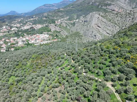Prodaja, plac, 10500m², Stari Bar, Bar - image 3
