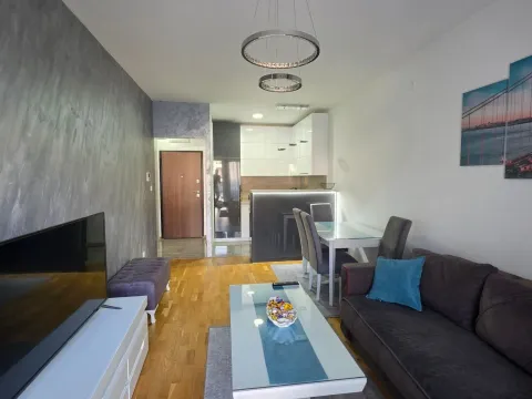 Rent, one bedroom apartment, 47m², Ljubović, Podgorica - image 2