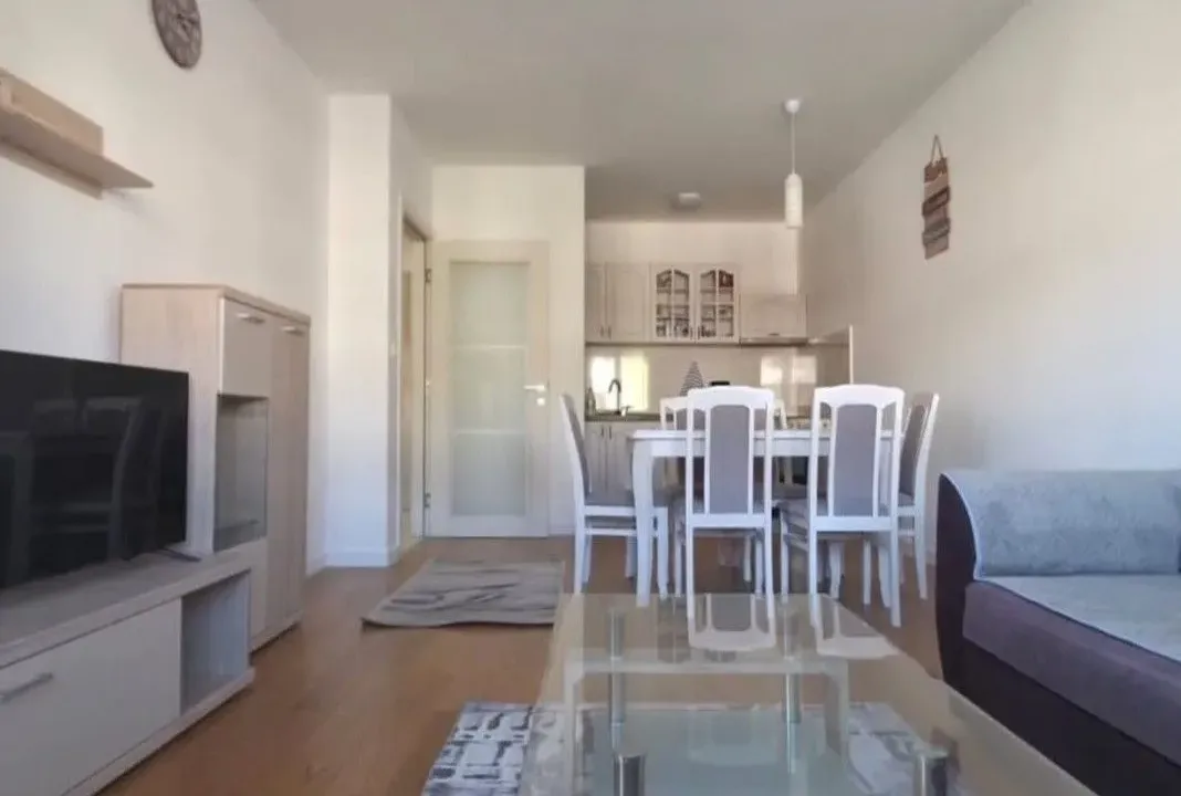 Izdavanje, jednosoban stan, 49m², Central Point, Podgorica