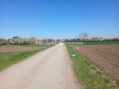 Sale, land lot, 201m², Petrovčić, Surčin - image 4