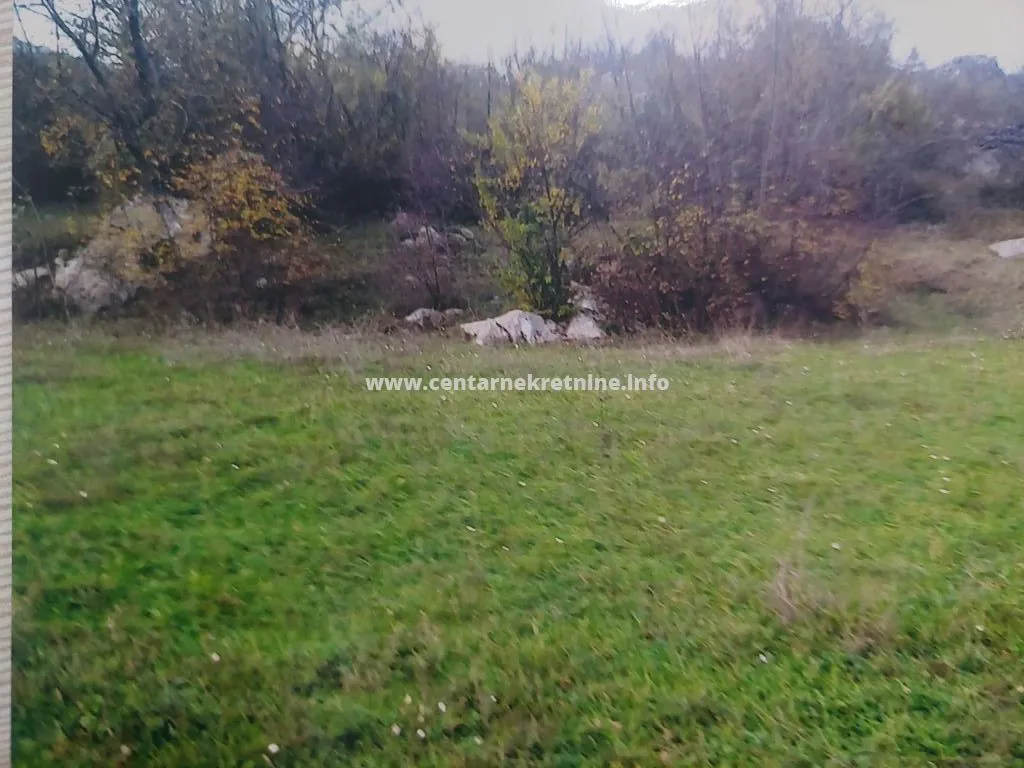 Prodaja, plac, 34826m², Bandići, Danilovgrad