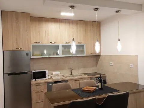 Izdavanje, jednosoban stan, 50m², Tuški Put, Podgorica - image 9