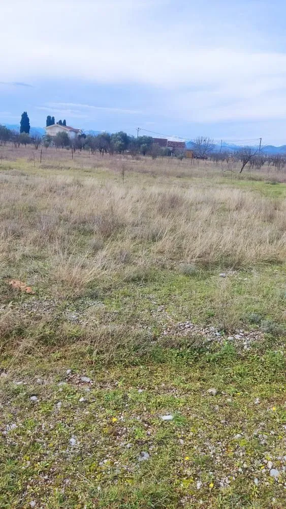 Prodaja, plac, 1500m², Zeta, Podgorica