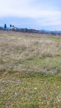 Prodaja, plac, 1500m², Zeta, Podgorica - image 4