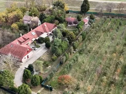 Sale, house, 481m², Bečej, Novi Sad - image 2