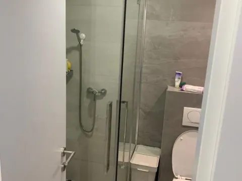 Prodaja, jednosoban stan, 30m², Adice, Novi Sad Sve Podlokacije - image 8