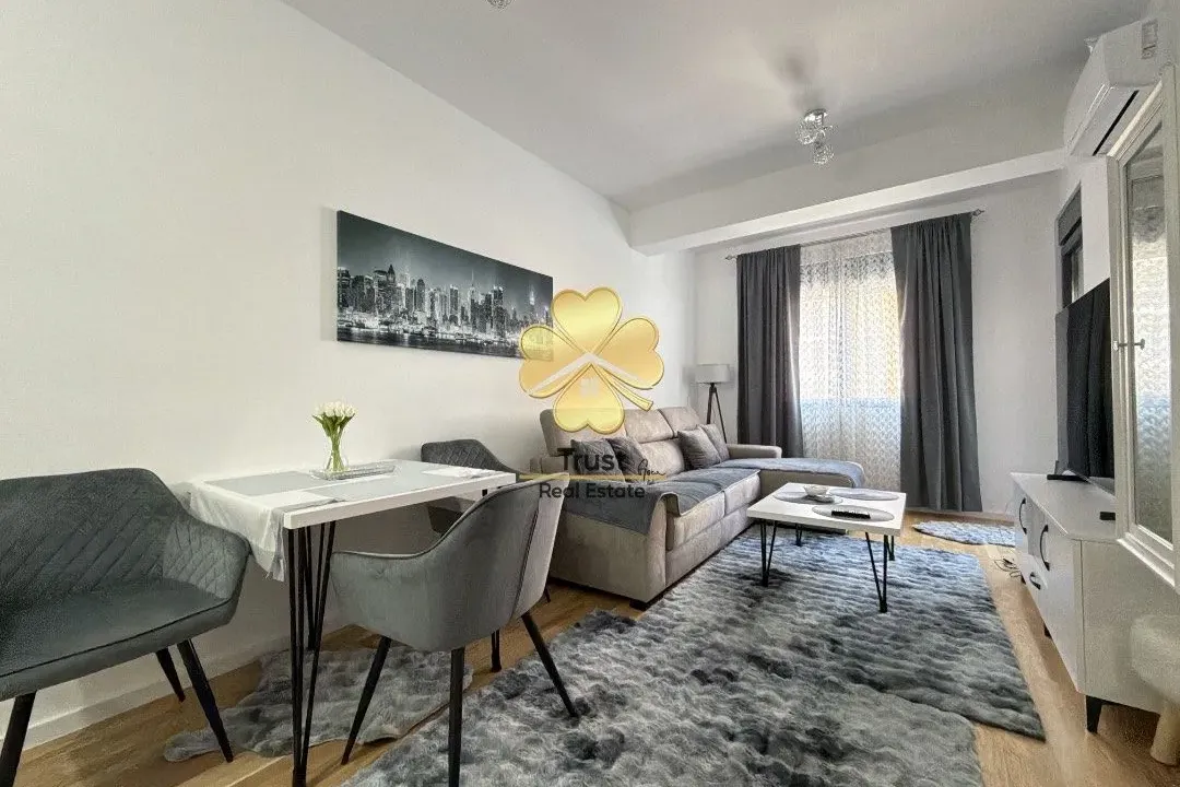 Rent, one bedroom apartment, 45m², Stari Aerodrom, Podgorica