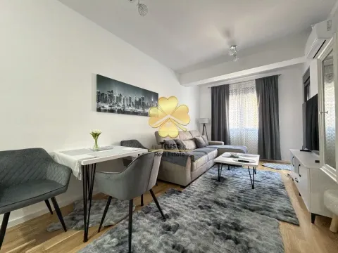 Izdavanje, jednosoban stan, 45m², Stari Aerodrom, Podgorica - image 1