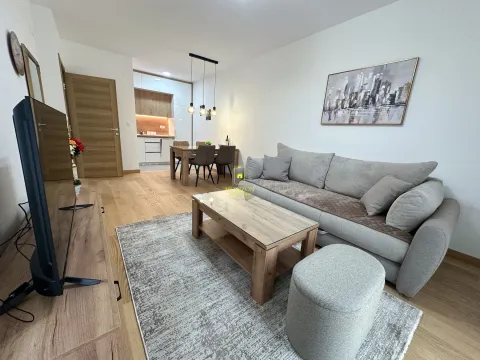 Rent, one bedroom apartment, 46m², New City, Podgorica - image 4