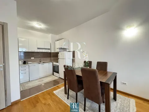 Rent, one bedroom apartment, 50m², Stari Aerodrom, Podgorica - image 5