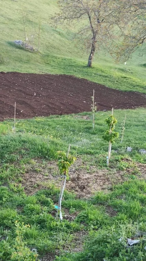 Prodaja, plac, 136000m², Dubočke, Nikšić