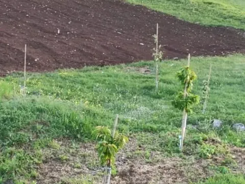 Sale, house, 60m², Dubočke, Nikšić - image 15