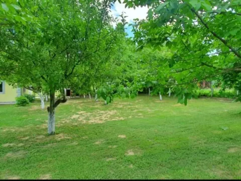 Rent, house, 95m², Sremski Karlovci, Novi Sad - image 2