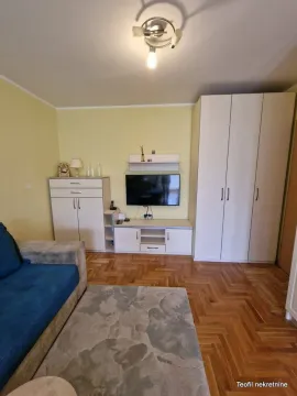 Izdavanje, jednosoban stan, 40m², Žarkovo, Beograd - image 3