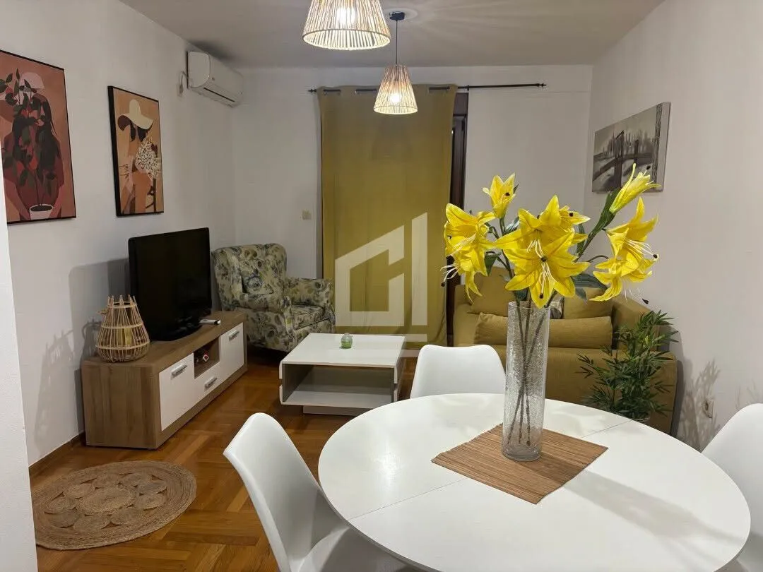 Izdavanje, jednosoban stan, 44m², Stari Aerodrom, Podgorica