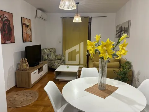 Izdavanje, jednosoban stan, 44m², Stari Aerodrom, Podgorica - image 3