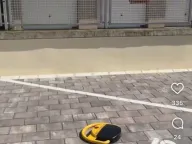 Sale, two bedroom apartment, 42m², Nova Detelinara, Novi Sad Sve Podlokacije - image 12